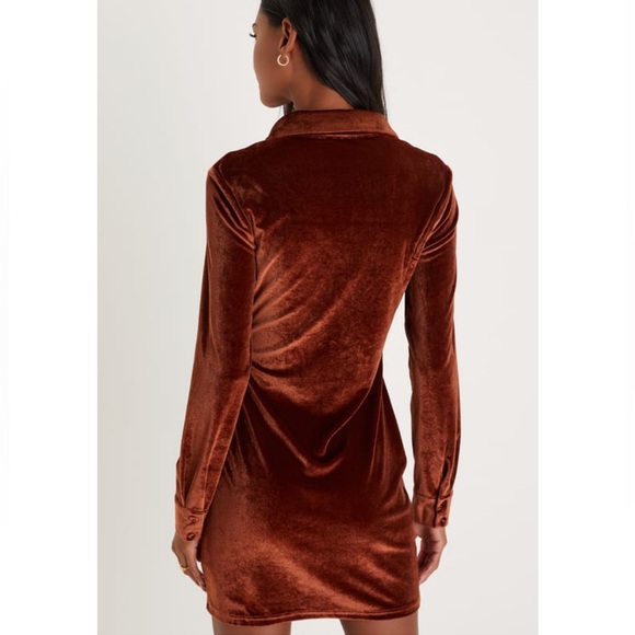 Rust Velvet Button-Up Mini Dress - Picture 3 of 3